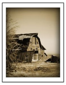 Ye Ole Barn