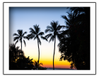 Coastal Note Card Set - Shown: Evening Palms
